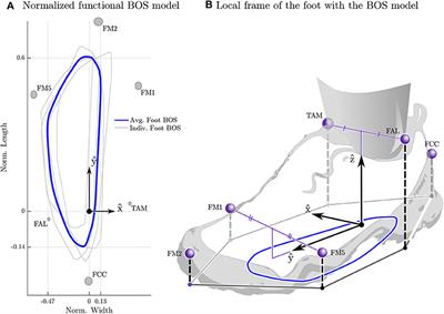 Slow but Steady: Similar Sit-to-Stand Balance at Seat-Off in Older vs. Younger Adults